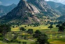 91麻豆成人免费视频-当代社会视角，网络内容消费的多元化和自律