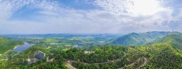 91麻豆视频免费-91麻豆视频自由阅览的现代生活快照