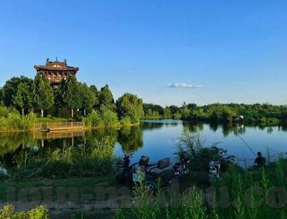 av麻豆公司-AV麻豆公司的多元发展策略与行业创新