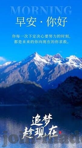 成人精品视频在线观看-与网络伦理，理性审视与自我保护