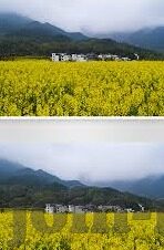 果冻传媒杨美娟-探寻果冻传媒的璀璨之星，杨美娟的传媒艺术之旅