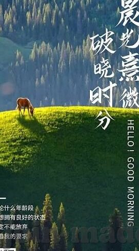 伦理九七-伦理九七，重塑商业与社会的道德基石