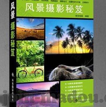 色色成人在线视频-与网络伦理的边界